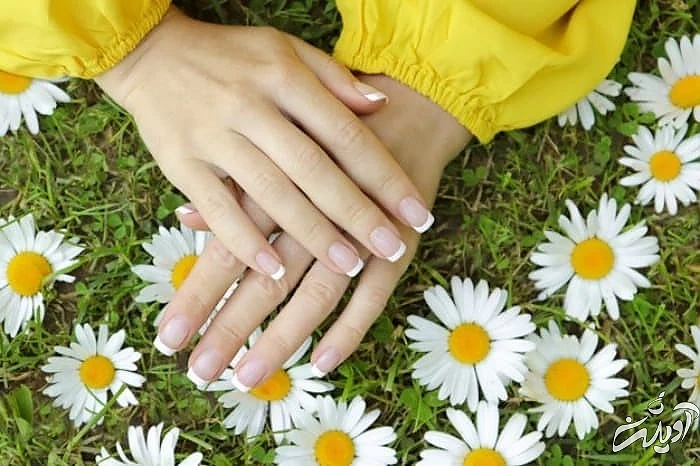 مانیکور ژلیش ناخن
